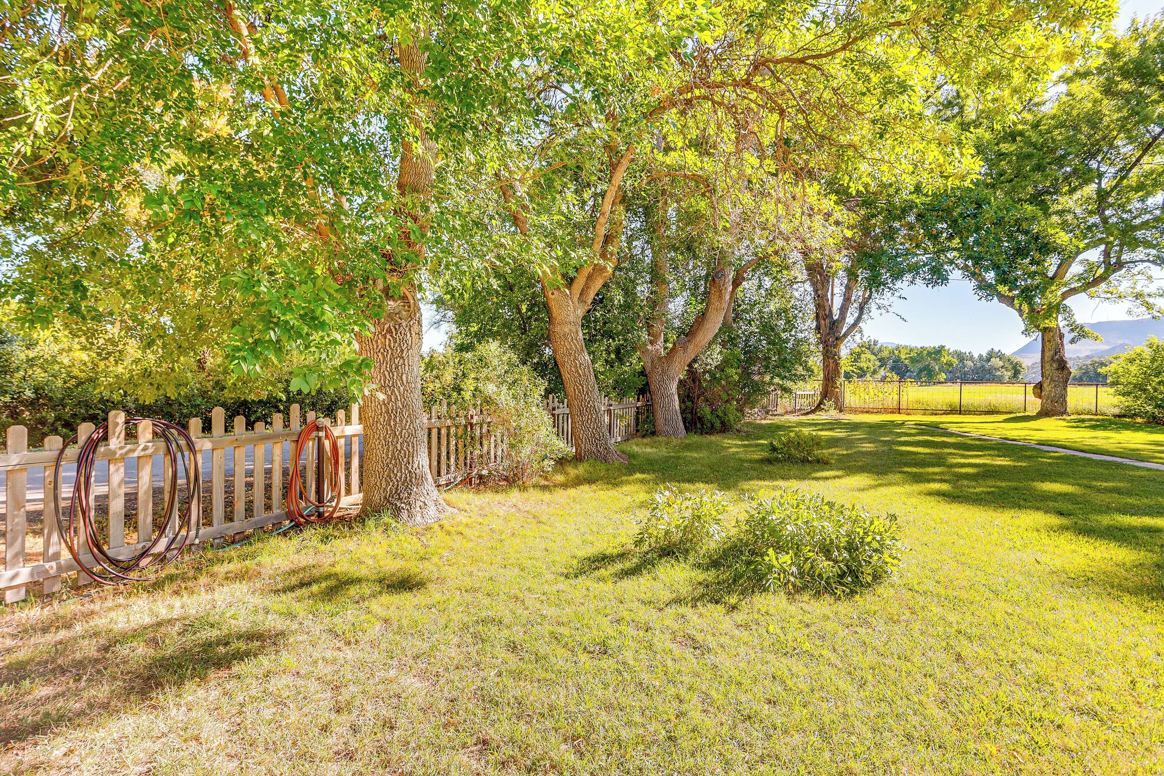 A grassy area with trees and a wooden fence.