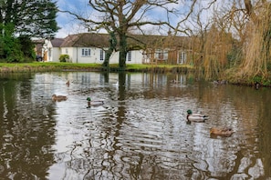 4 bedrooms, Internet - Beautiful 4-bed Close to South Downs Goodwood (Arundel)