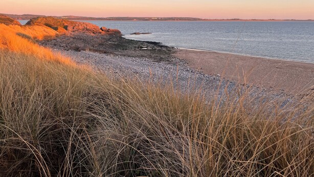 A beach with rocky terrain and dry grass in the foreground. - Natterjack Cottage - Access to the Western Lakes (Millom)