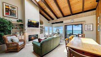 TV connectée, cheminée, lecteur de DVD, livres