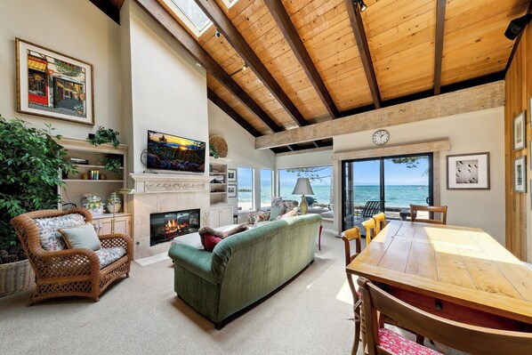 Smart TV, chimenea, reproductor de DVD y libros 