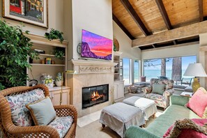 Smart TV, chimenea, reproductor de DVD y libros 