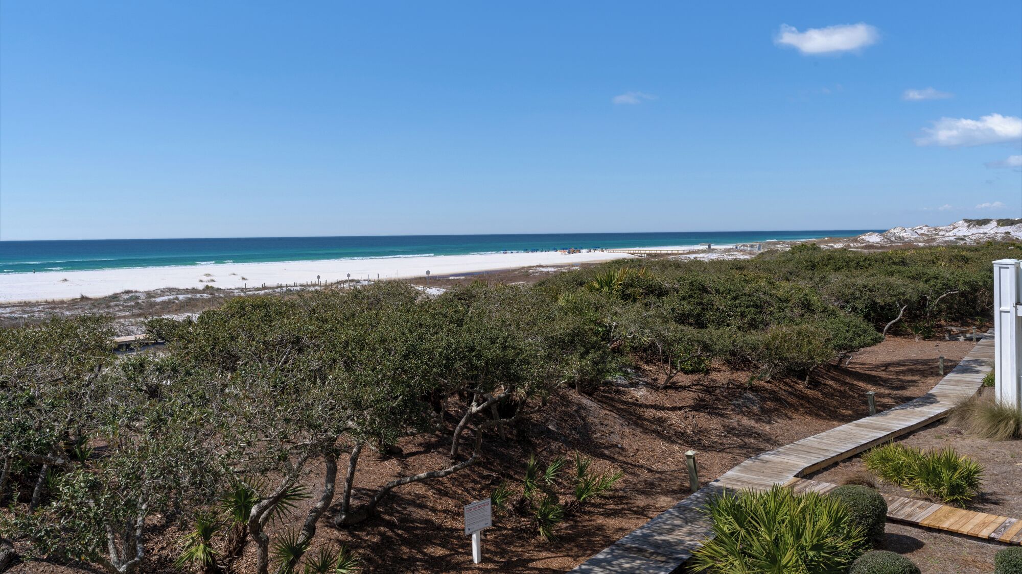 A coastal landscape with a beach, dense shrubbery, and a wooden pathway leading to a white structure.