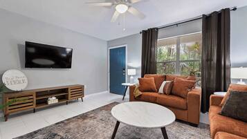 TV, fireplace, offices