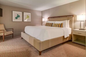 1 slaapkamer, een strijkplank/strijkijzer, wifi, beddengoed