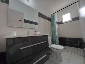 Shower, hair dryer, towels, toilet paper