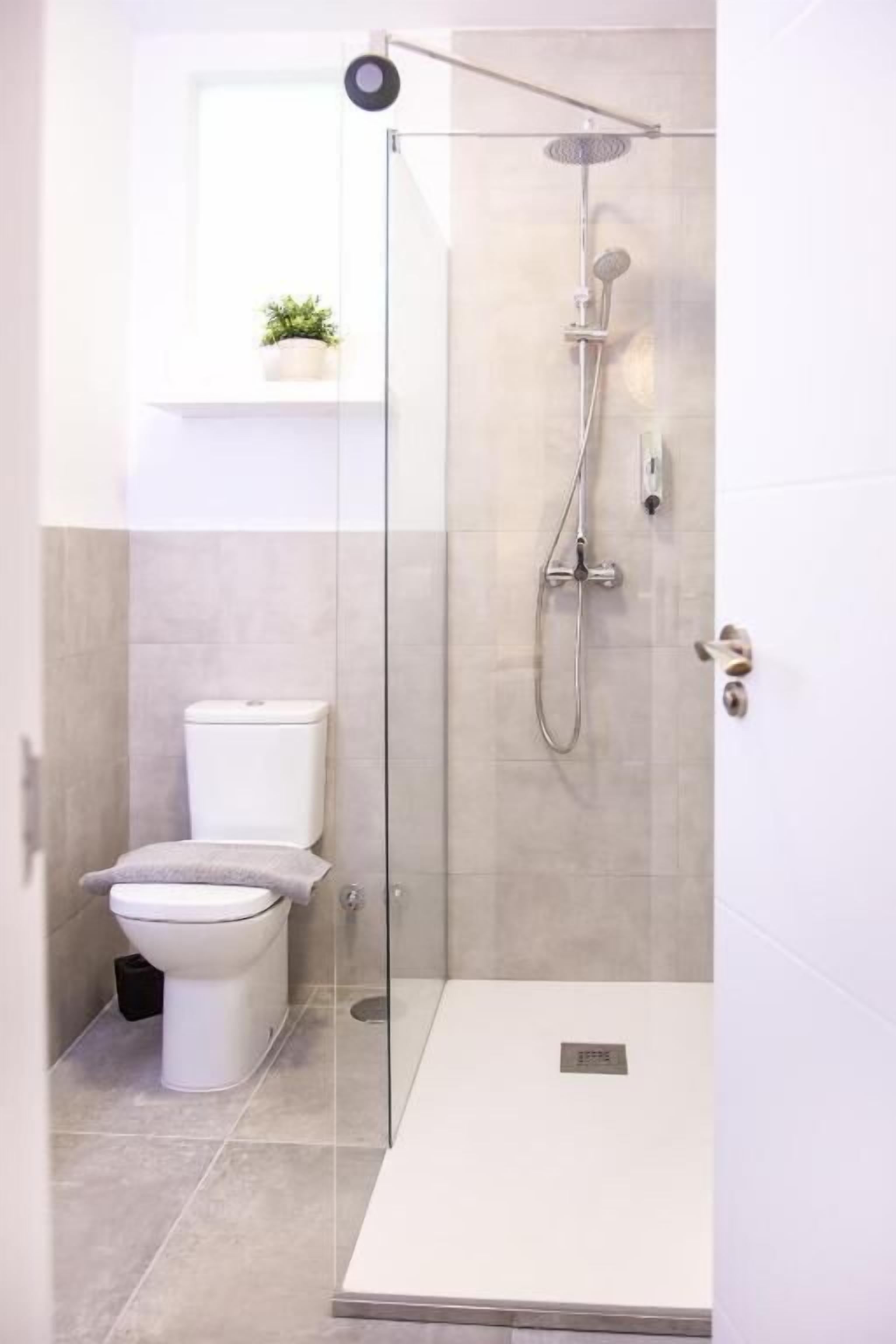 A modern bathroom with a glass-enclosed shower, a toilet, and a small potted plant on a shelf.