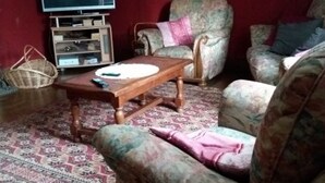 Een woonkamer met een televisie, een houten salontafel, gestreept fauteuils en een kleed met een patroon.