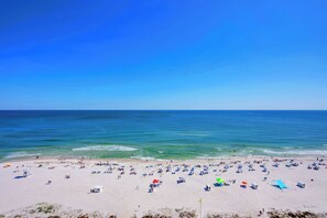 A beach with numerous umbrellas and beach chairs, a clear blue sky, and calm sea.