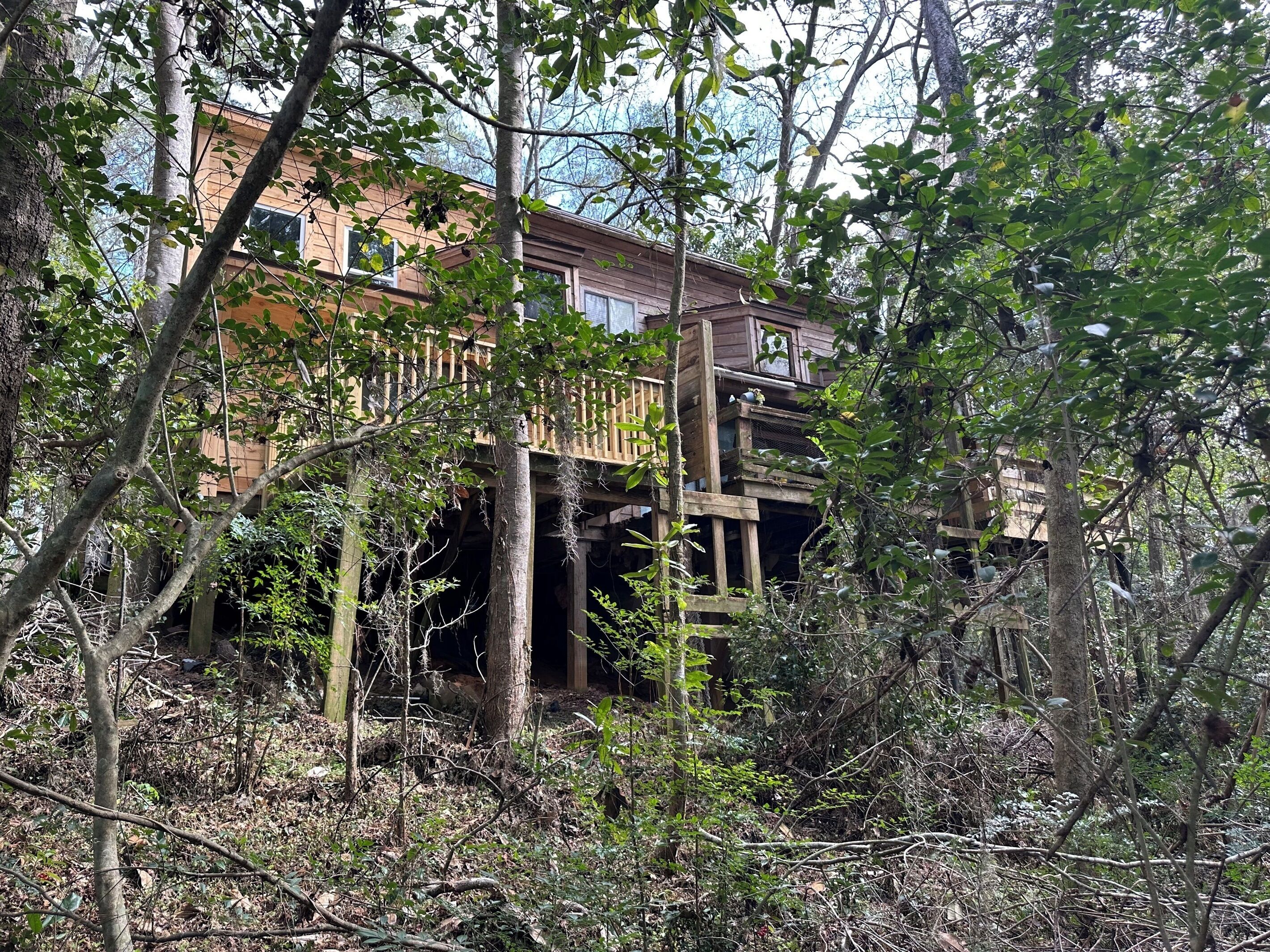 A wooden structure with multiple levels, surrounded by dense foliage.