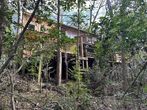 A wooden structure with multiple levels, surrounded by dense foliage. - Downtown Cabin, Near FSU, 1 Gig WiFi, Free Parking (Tallahassee)