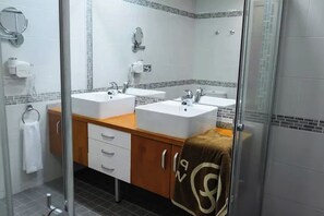 Regadera, secadora de cabello, toallas, jabón 