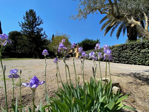 Charmant Appartement de 100m2 dans maison de caractère au bord du canal du midi