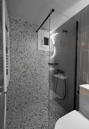 Shower, towels, soap, toilet paper