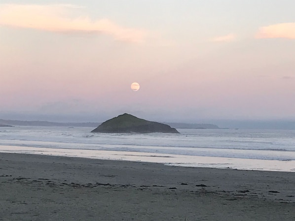Plage à proximité