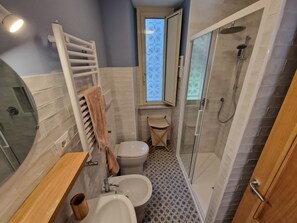 Shower, hair dryer, bidet, towels