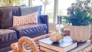 A living room with a dark brown leather sofa, a patterned throw pillow, a woven basket, a stack of books, a glass bottle, and a potted plant. - Lakefront fun for 14+pets w/game room deck sunsets (Whitney)