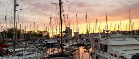 Marina