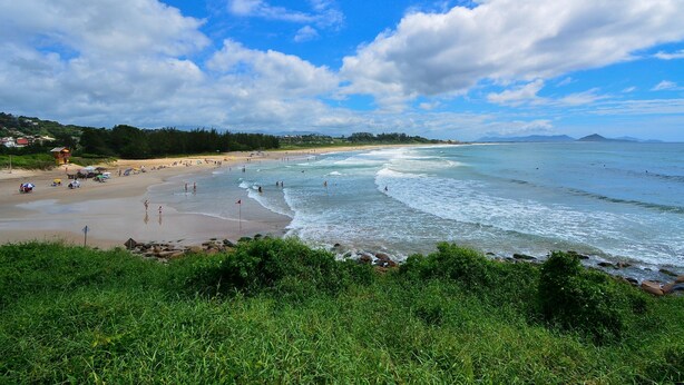 Une plage avec un ciel dégagé et des vagues, un rivage sablonneux et de la végétation au premier plan.