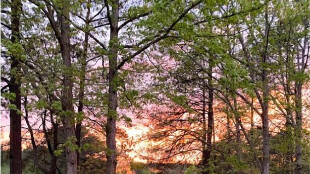 Terrassa a la vora d'un llac amb taula i cadires, envoltada d'arbres i un porxo.