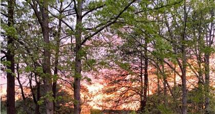 Lakefront, Hot Tub, Firepit, 6BR house, Pet Friendly, , Game room, Kayaks