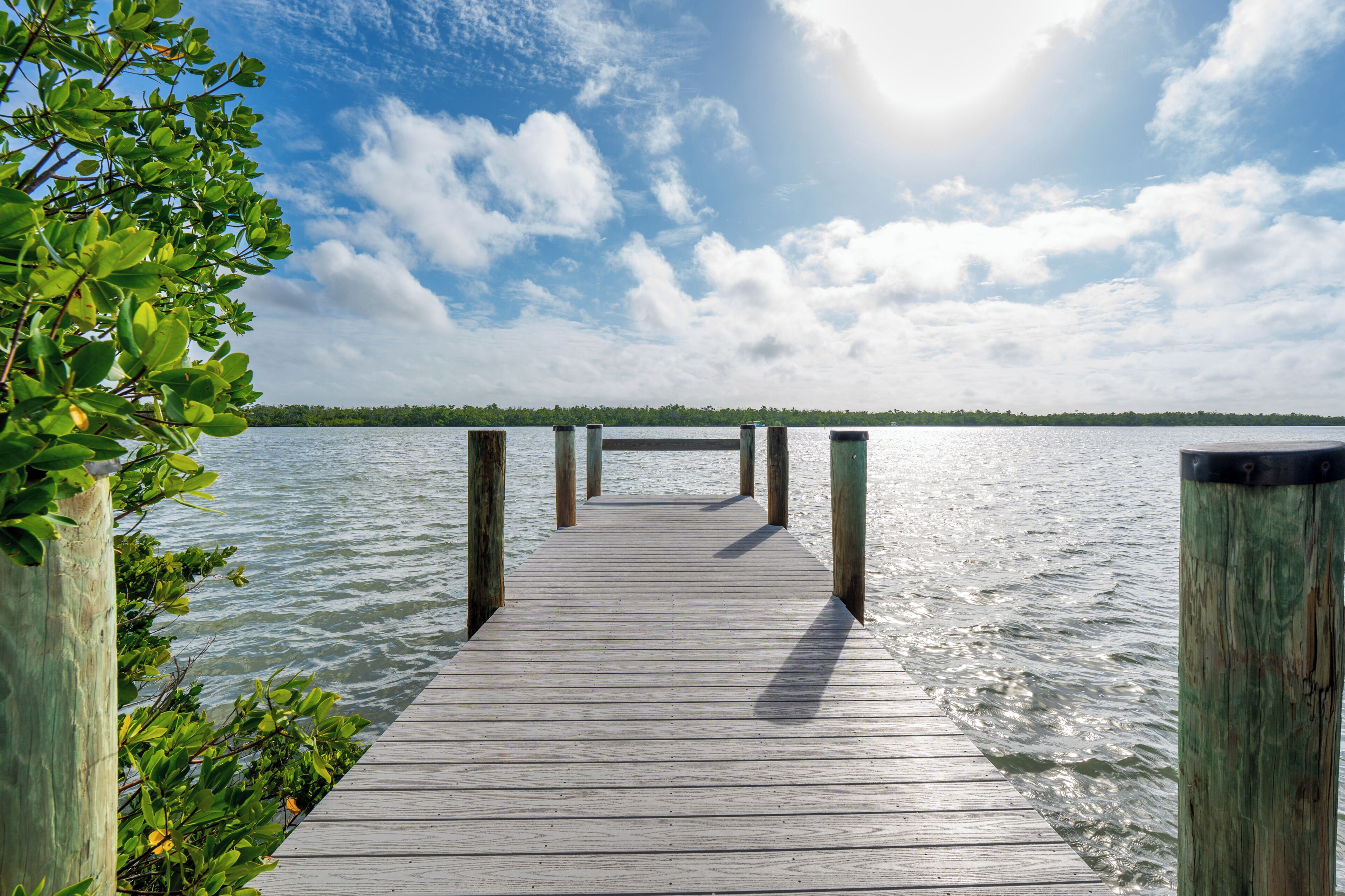 Eine Holzstege, der sich in ruhiges Wasser erstreckt, umgeben von Grünpflanzen.