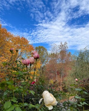 Property grounds - The Cottage at Spindle Hill: an Artist’s Farm (Nellysford)