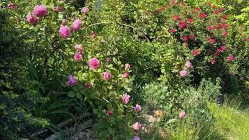 DĂ©tail de lâextĂ©rieur