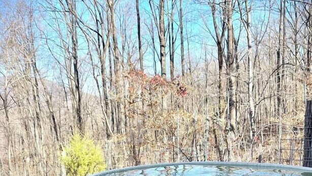 Un jacuzzi en una terraza de madera con un bosque de fondo.