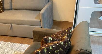 Living room and bedroom near Maracanã