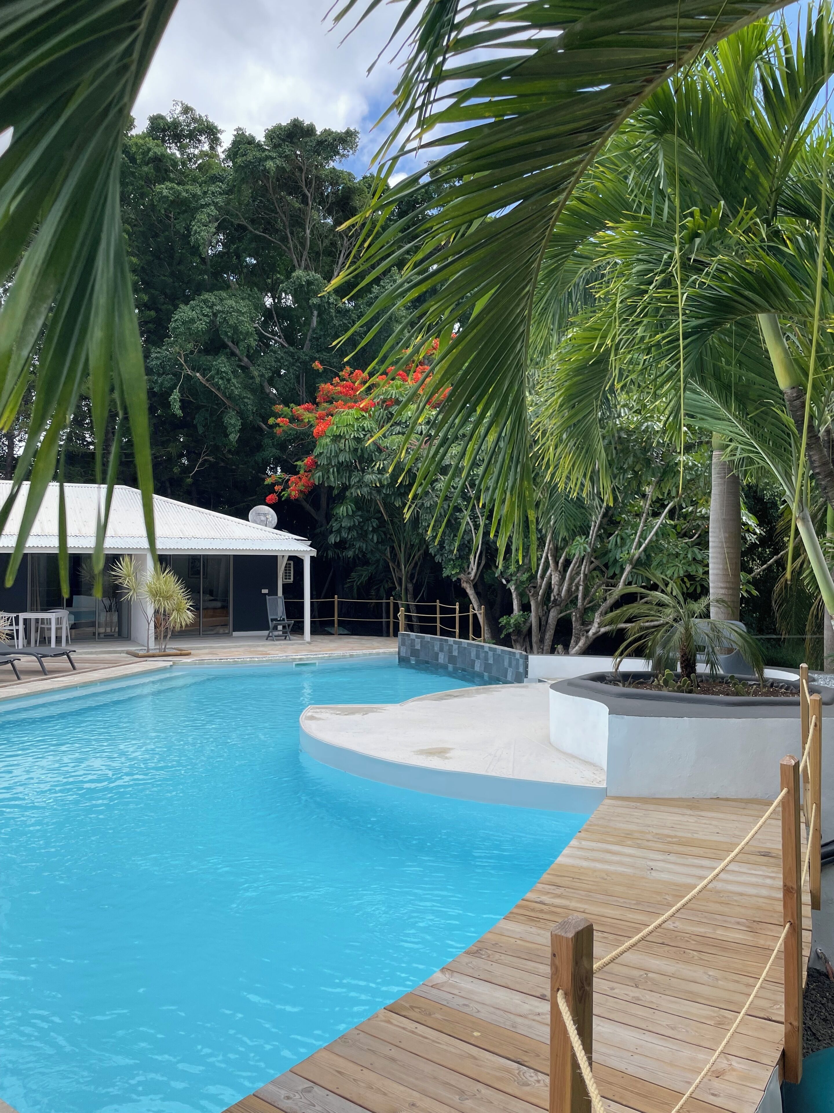 Une piscine dotée d’une terrasse en bois, entourée d’une végétation luxuriante et d’arbres.
