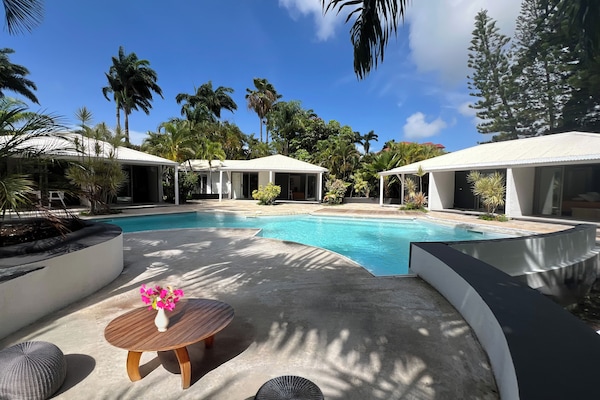 Outdoor pool, sun loungers