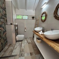 A modern bathroom with a large window, two sinks, a toilet, and a shower area.
