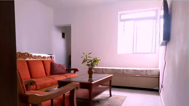 Un salon avec un canapé, une table basse et une plante en pot.