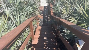 Una escalera de madera con barandales, rodeada de follaje verde.