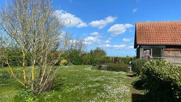 A house with a red roof, surrounded by a garden with white flowers and green grass.