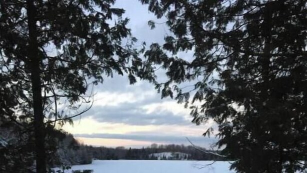 Un pontile imbiancato dalla neve con vista su un lago e alberi.