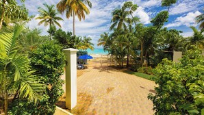 Un chemin pavé mène à une plage bordée de palmiers et ombragée par un parasol bleu.