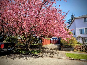 Property grounds - Ballard Hjemsted (Seattle)