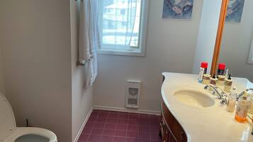 A bathroom with a white toilet, a sink with a mirror, and a window.