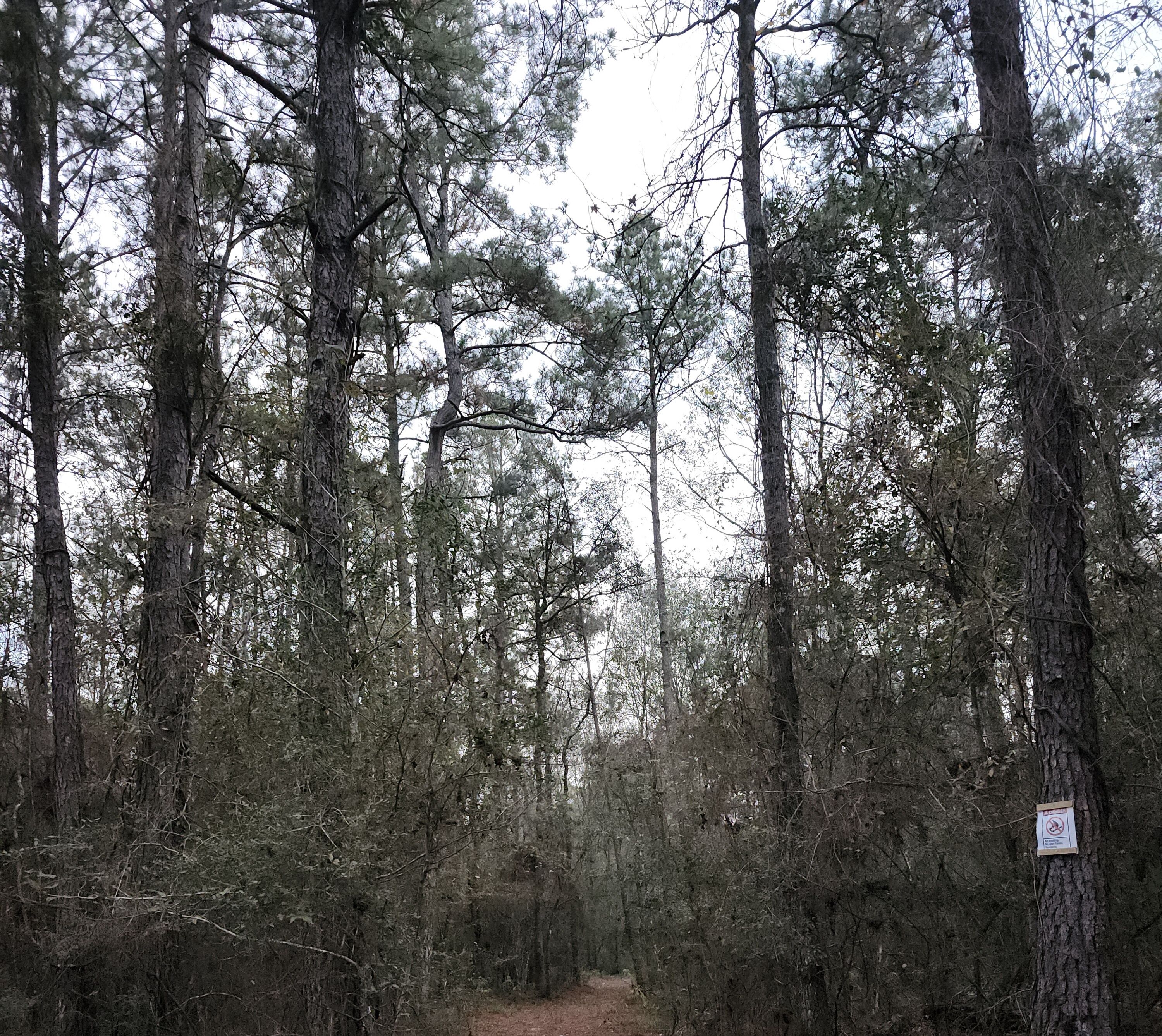Trails