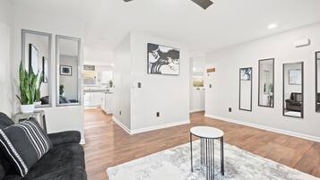 Smart TV, fireplace, books