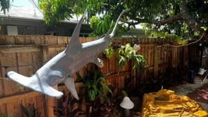 A shark sculpture in a garden with a wooden fence, plants, and a yellow object. - Coastal Luxury - 5 min to beach (Fort Lauderdale)
