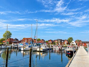 Een jachthaven met aangemeerde boten, een houten steiger en huizen op de achtergrond.