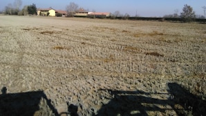 A field with sparse vegetation and a few buildings in the background. - BeB Cascina Mentirone (Rosate)