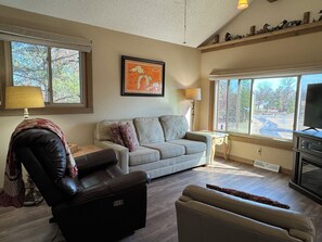 Smart TV, fireplace, DVD player, books