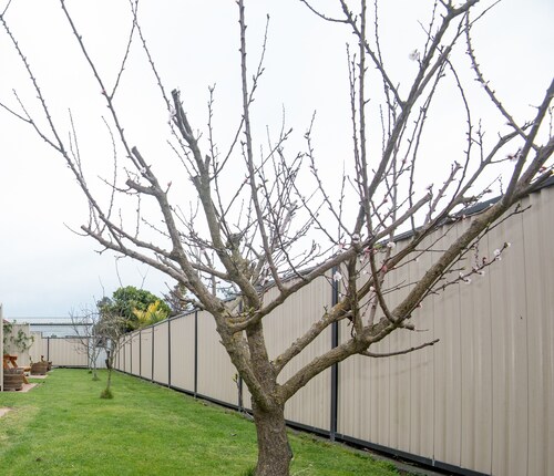 Ahikaa Gisborne Motel