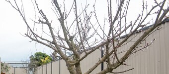 Ahikaa Gisborne Motel