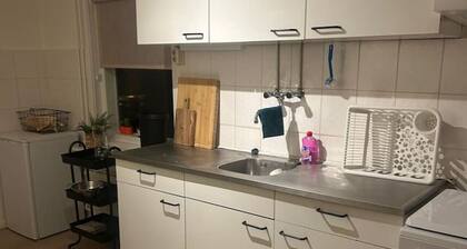 Holidayhome De Molen