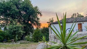 A rustic house with a stone wall and a large tree in the background.